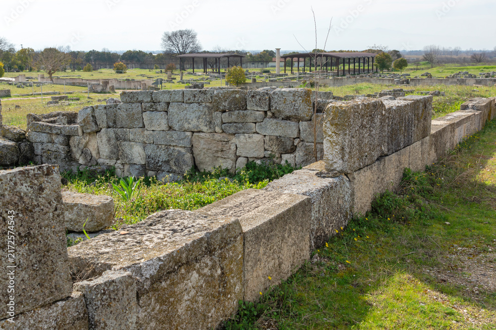 Fototapeta premium Ruins of Ancient Macedonian capital Pella, Greece