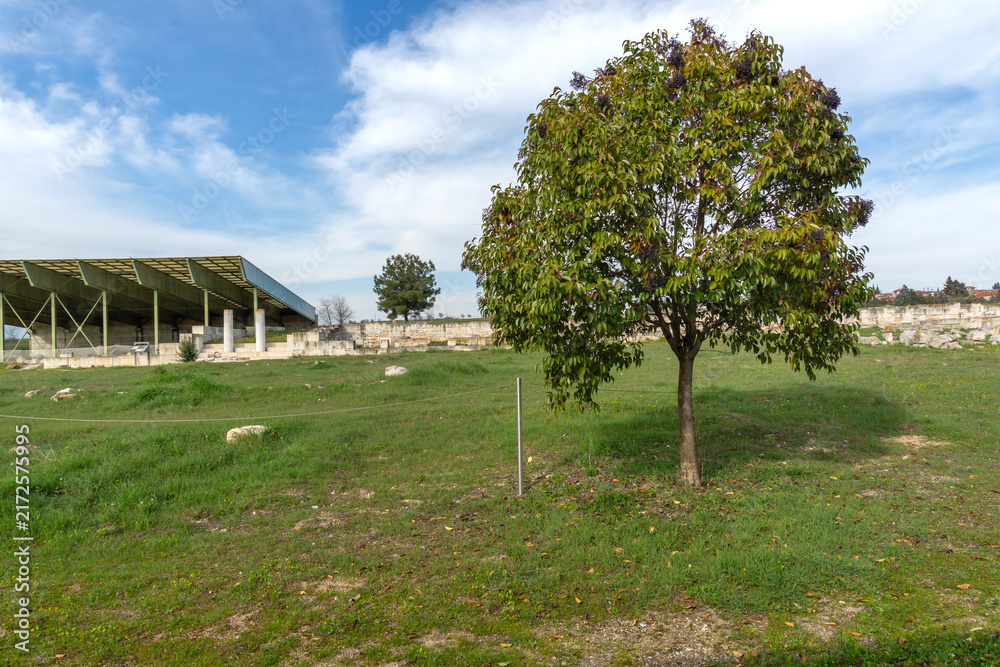 Fototapeta premium Ruins of Ancient Macedonian capital Pella, Greece