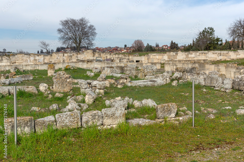 Fototapeta premium Ruins of Ancient Macedonian capital Pella, Greece