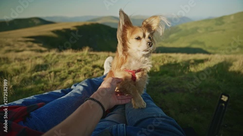 Enjoying time with a dog in a grassy field on a sunny day in the mountains