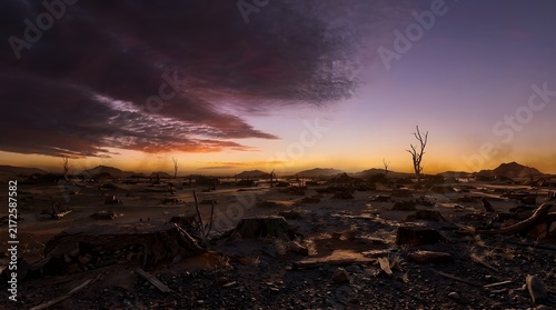 Colorful sunset sky over barren landscape with charred tree stumps
