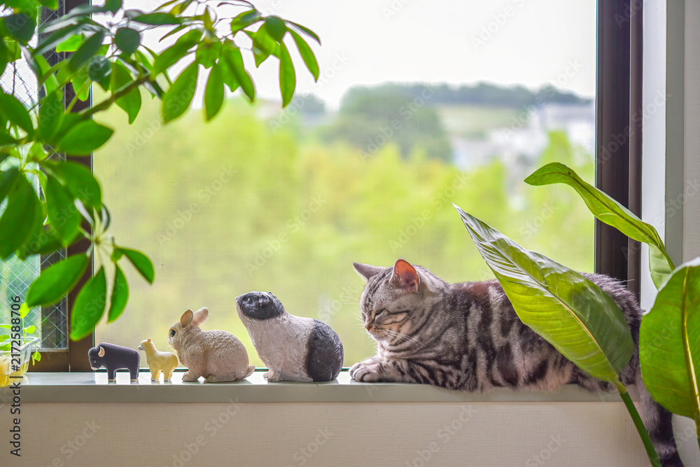 Naklejka premium 窓辺で動物のミニチュア達と並んでくつろぐ猫