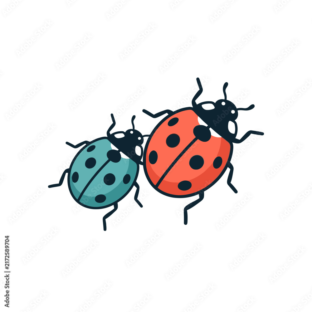 Fototapeta premium Two Colorful Ladybugs Illustration Side View.