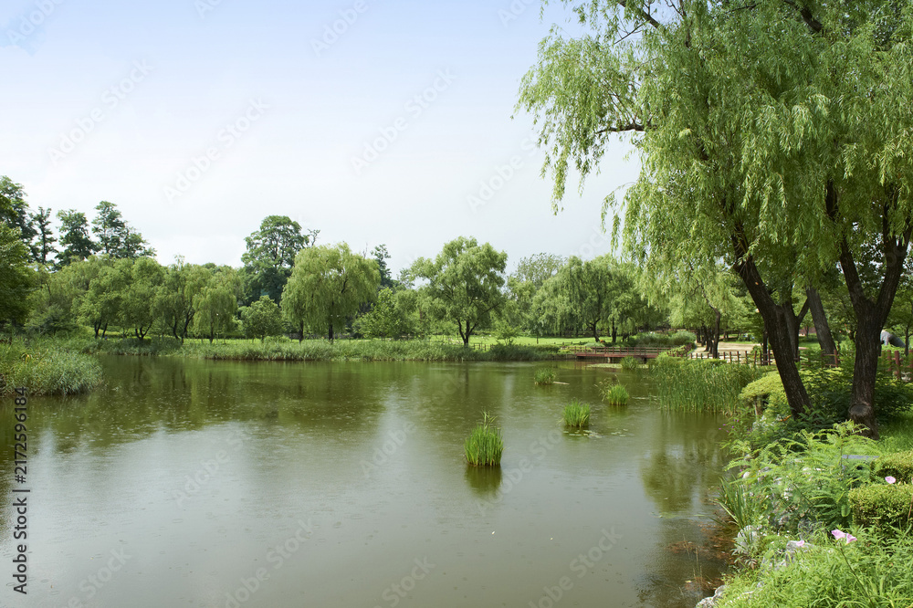 Fototapeta premium 용산가족공원,용산구,서울