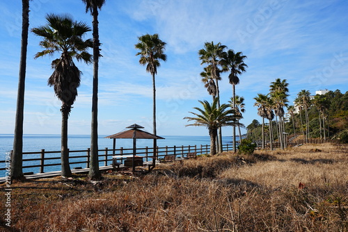 seaside walkway and gazebo in winter sea