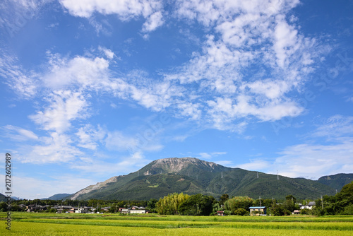 Canvas Print Mount Ibuki and Golden Rice Fields in Rural Japan.（伊吹山）4