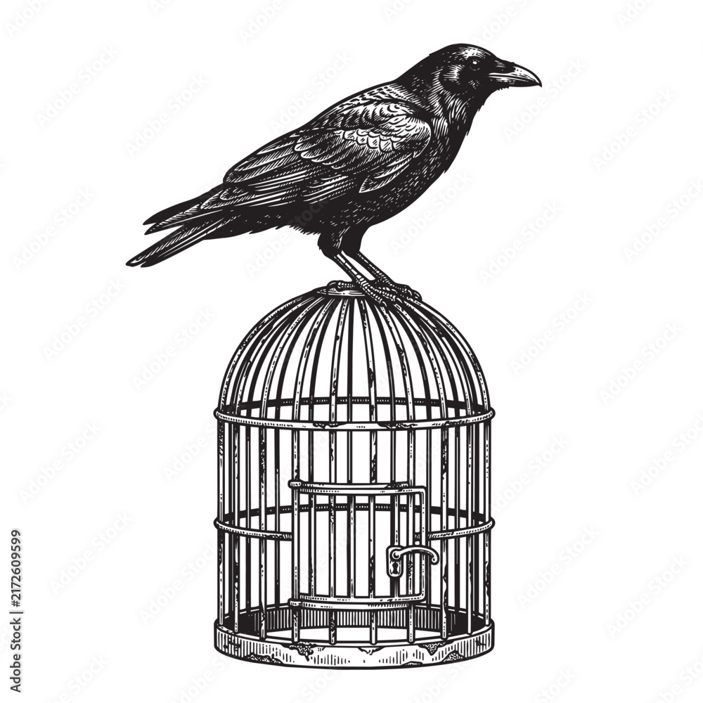 Naklejka premium crow perching birdcage engraving