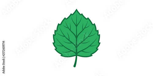 Vibrant Green Birch Leaf Illustration Isolated on White Background.