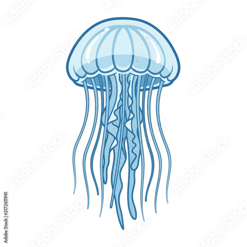 Blue Jellyfish Illustration