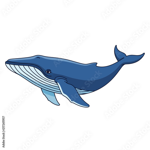 Blue Whale Cartoon
