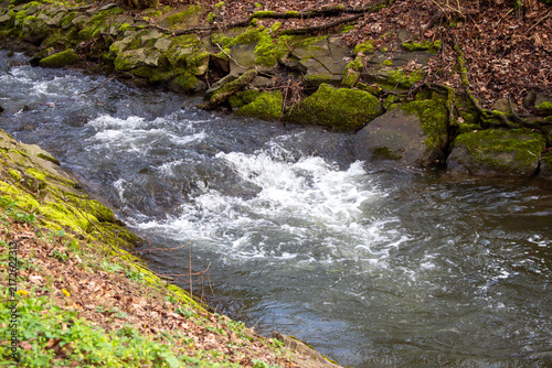 Stream water flowing over mossy rocks in forest
