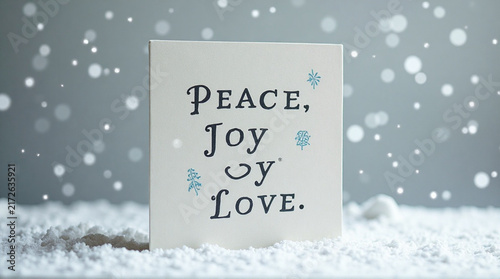 Delicate Card with Peace Joy Love Text in Snowy Scene