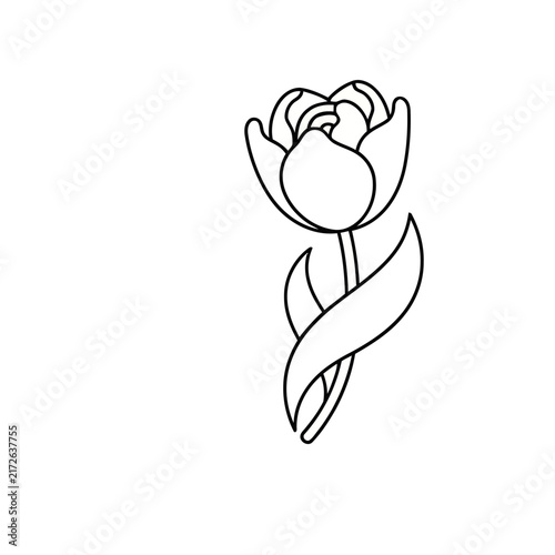 Outline of a single tulip flower