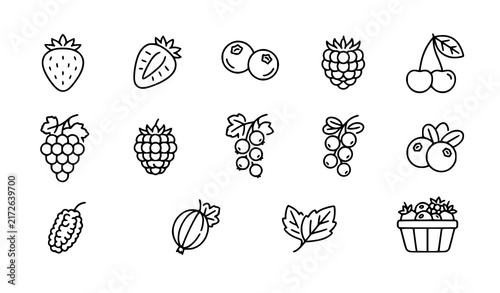 Berry and Fruit Icon Set with Strawberry, Raspberry, Blueberry, Cherry, Grape and Melon Line Art Symbols