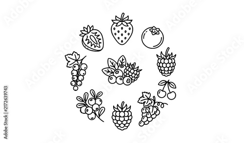 Mixed Berry Fruit Icon Collection with Strawberry, Raspberry, Blueberry, Grape and Cherry Hand Drawn Line Art