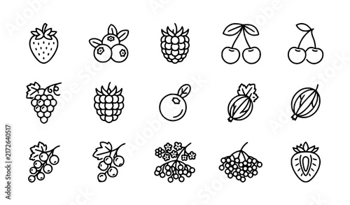 Berry and Fruit Doodle Icon Set with Strawberry, Blueberry, Raspberry, Grape, Cherry and Melon Line Art