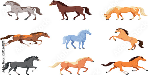 фотографія Beautiful horse vector collection featuring different breeds colors and dynamic