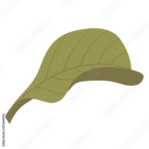 green leaf vector illustration 