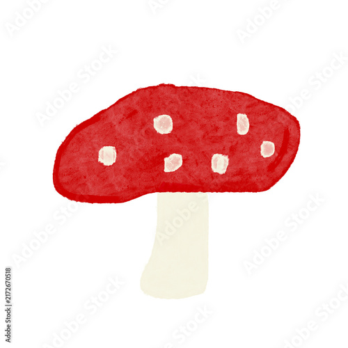 Quadro su tela fly agaric mushroom isolated