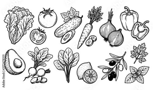 Black and White Fresh Salad Ingredients Hand Drawn Vector Collection