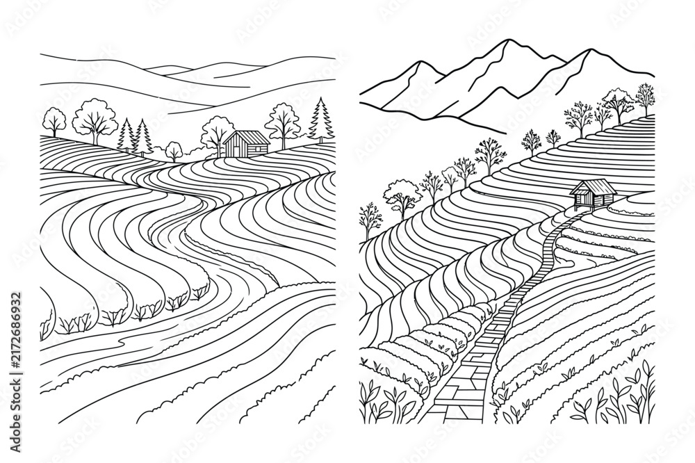 Fototapeta premium Terraced rice fields in mountainous agricultural landscape valley line art
