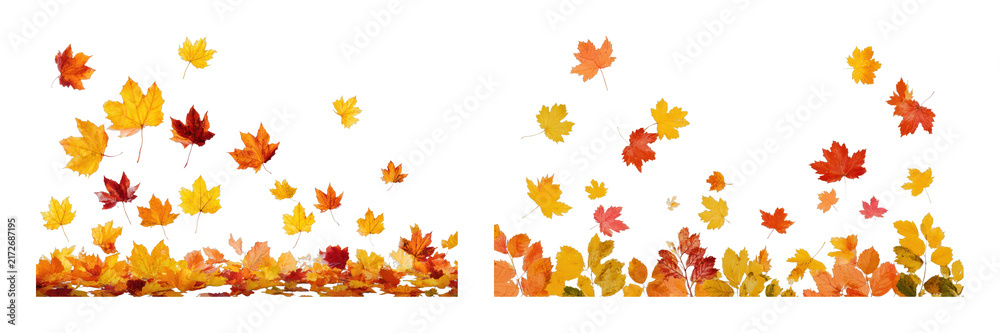 Obraz premium PNG Colorful autumn leaves falling in vibrant seasonal scene, transparent background