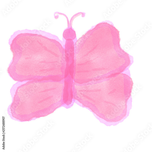 butterfly isolated on white