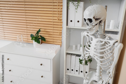 Human skeleton model near shelf unit in modern medical office
