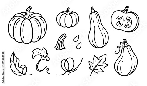 Minimal Hand Drawn Pumpkin Autumn Design Elements Flat Vector Set