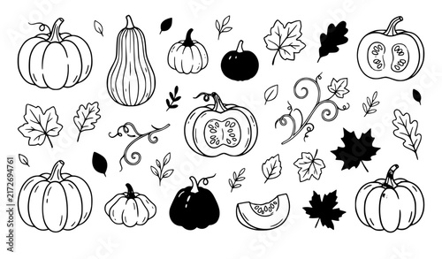 Hand Drawn Autumn Pumpkins and Gourds Decorative Vector Elements Set