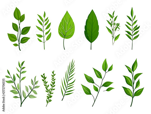 Minimal flat vector illustration featuring various leaves, trees, branches, grass, and botanical elements isolated on white background