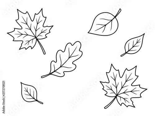 Minimalist autumn leaf line art set, black and white foliage vector icons, hand drawn maple and oak leaf illustrations for seasonal design