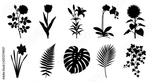 Floral and Plant Silhouettes Vector Set Featuring Flowers and Leaves