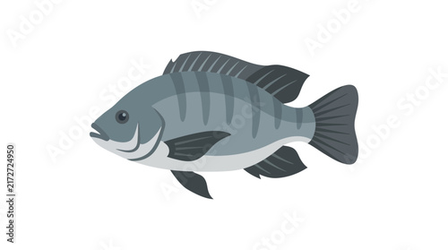 Stylized Gray Fish Illustration