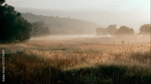 Golden Sun Rays Breaking Through Mist Over an Autumn Field