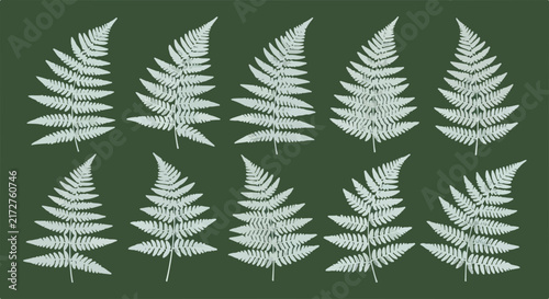Symmetrical Fern Leaves on Dark Green Background