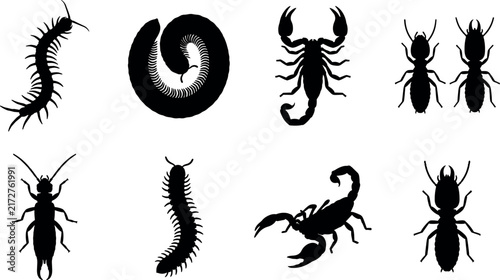 Canvas Print Crawling Pest Insects and Arachnids Silhouette Collection Featuring Centipede Mi