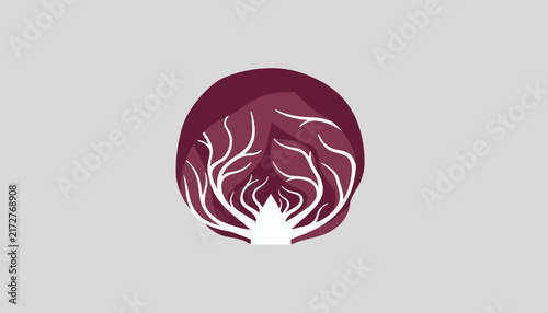 Graphic representation of a fresh red radicchio head with prominent white veins, isolated on a light gray background.