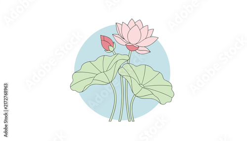 Beautiful pink lotus blossom with green leaves and a closed bud set against a soft blue circular background.