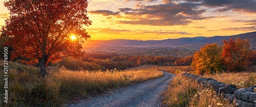 Autumn tree with sun flare over rolling hills during golden hour with a country lane