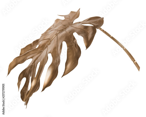 Quadro su tela Brown monstera leaf png sticker, botanical, transparent background