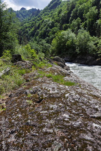The riverbank zone in mountainous terrain, the rocky soil bordering the riverbed, with vegetation along the banks.
