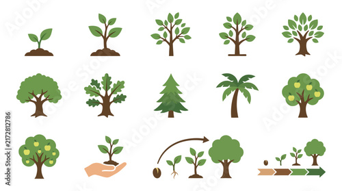 A collection of various tree growth stages and different plant species icons