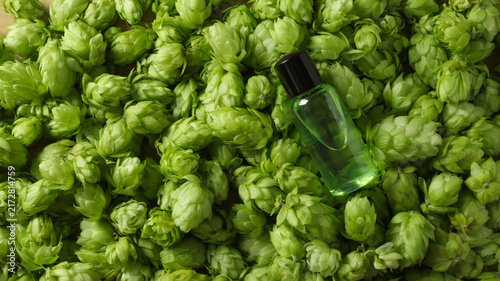 Hops and clear liquid on a surface with many green hops surrounding it
