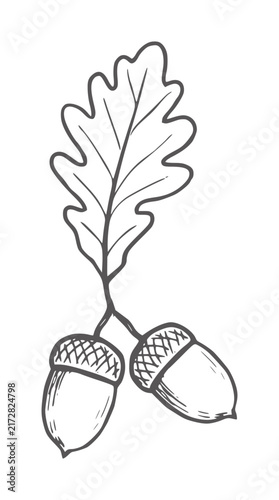 Minimalist black and white oak leaf and acorns