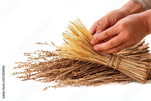 Hands carefully bundling dry wheat stalks, showcasing a rustic, natural craft or agricultural theme.