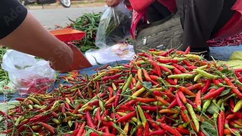Buyer Selecting Fresh Red Chili Peppers at Local Vendor Stall
