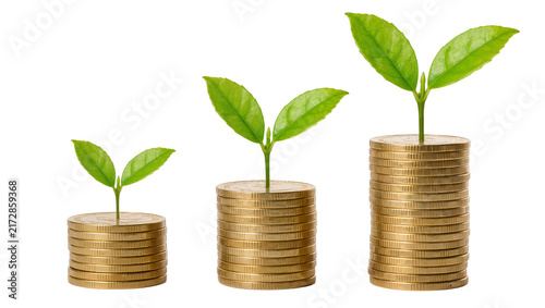 Bild auf Leinwand Three stacks of gold coins with green sprouts growing, isolated on transparent b