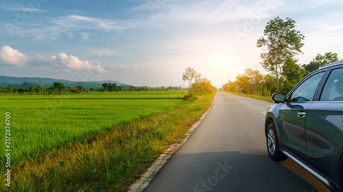 SUV Driving Through Green Rice Fields