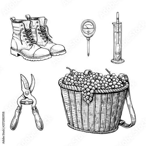 vineyard-harvest-tools-collection-engraving-set
